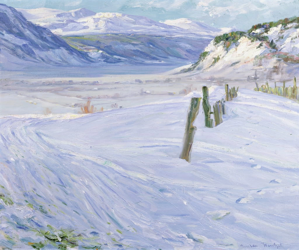 Paesaggio invernale